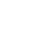 Globe Icon