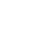 Travel Icon