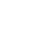 World Cup Icon