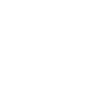 Tickets Icon